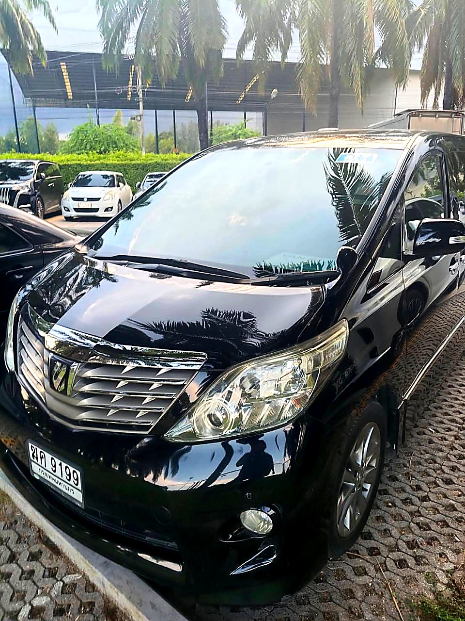 Toyota Alphard executive car